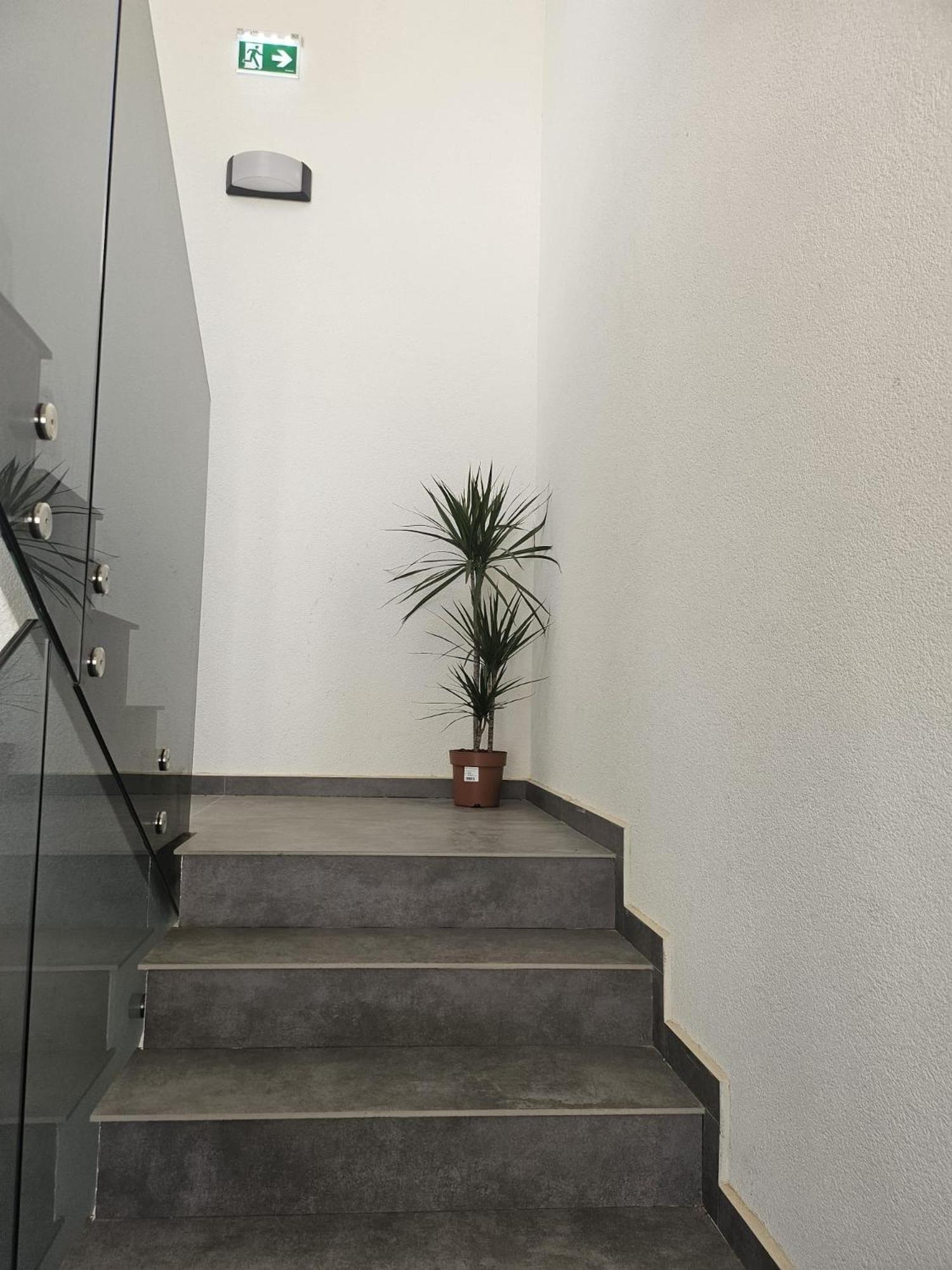 Rudolf Apartment